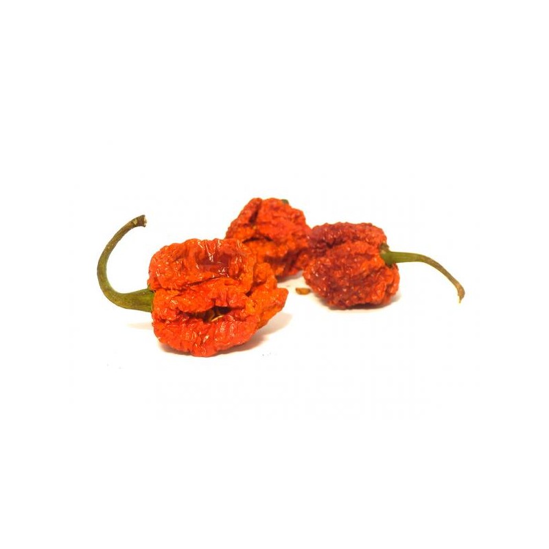 Trinidad Scorpion Moruga sušené