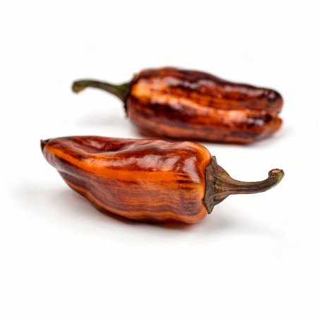 Camelot - chilli semínka (10 ks)