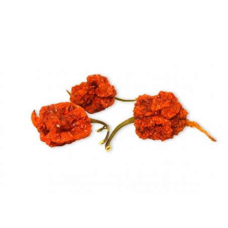 Carolina Reaper - sušené chilli papričky