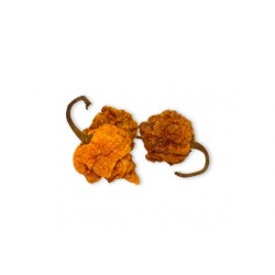 7-pot brain strain yellow - sušené chilli papričky