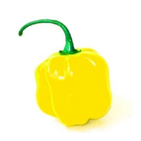 Habanero yellow - semínka chilli