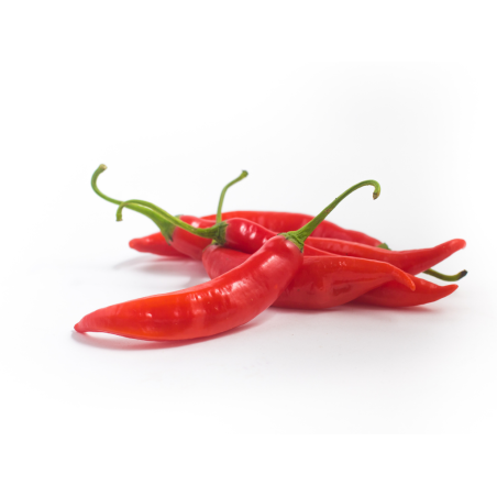 Chile de Árbol - seminka chilli