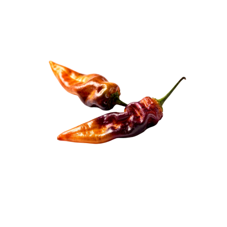 Pimenta del Oro  – chilli semínka (10 ks)